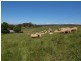 Lot 58 Netherhill Road, Gumeracha SA 5233