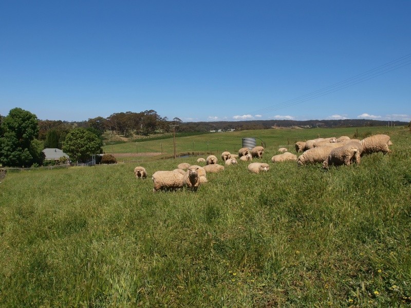 Lot 58 Netherhill Road, Gumeracha SA 5233