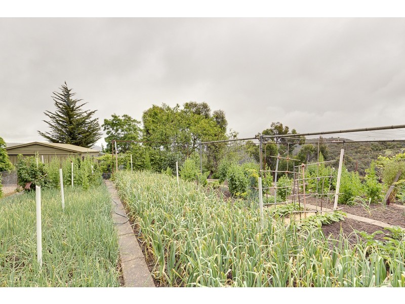 Lot 32, . Woolcock Road, Longwood SA 5153