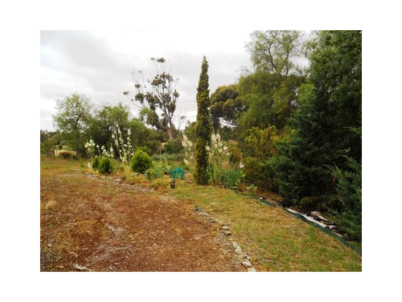 47 Murray Street, Callington SA 5254