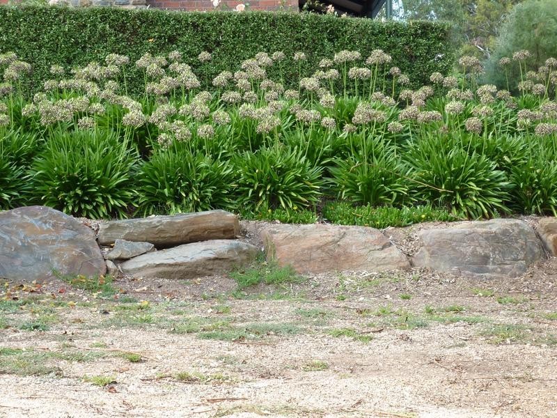 14 Kramm Avenue, Hahndorf SA 5245