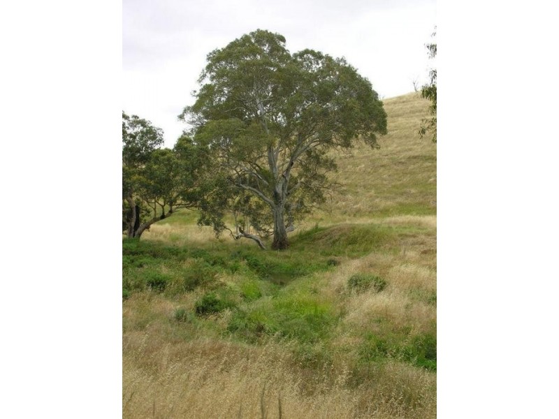 Lot 9,  Military Road, Woodside SA 5244