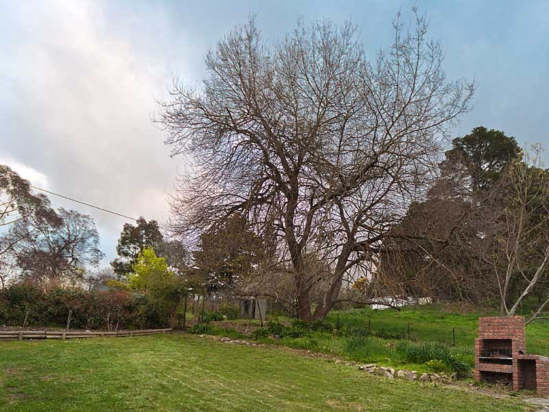 5 Adelaide-Lobethal Road, Lobethal SA 5241