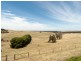 Lot 1101, Wattle Flat Road, Strathalbyn SA 5255