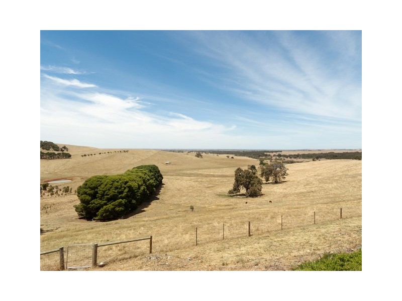 Lot 1101, Wattle Flat Road, Strathalbyn SA 5255
