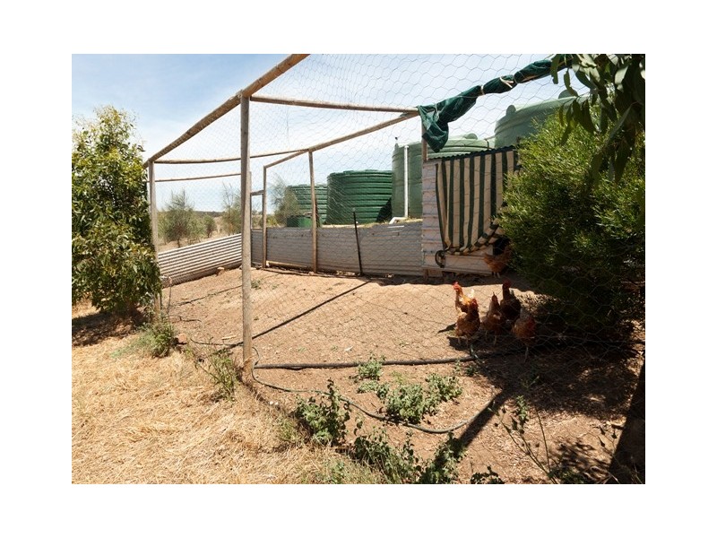 Lot 1101, Wattle Flat Road, Strathalbyn SA 5255