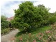 Lot 13 Blakiston Road, Littlehampton SA 5250