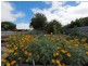 Lot 96 Woodside Road, Lobethal SA 5241