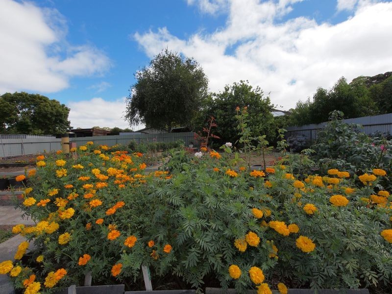 Lot 96 Woodside Road, Lobethal SA 5241