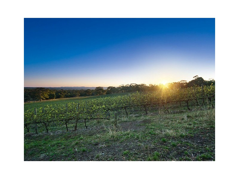 Lot 52,  Wickham Hill Road, Meadows SA 5201