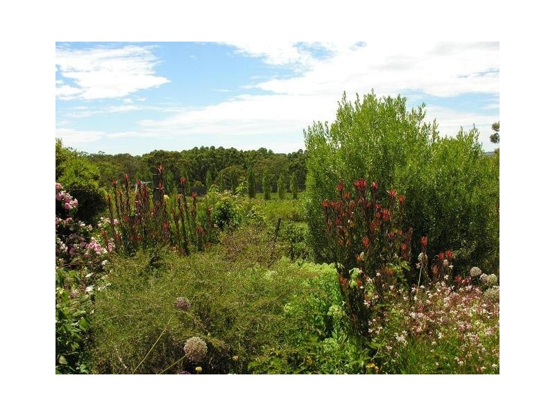 Lot 52,  Wickham Hill Road, Meadows SA 5201