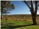 Lot 61,  Bird In Hand Road, Woodside SA 5244