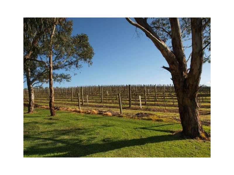 Lot 61,  Bird In Hand Road, Woodside SA 5244