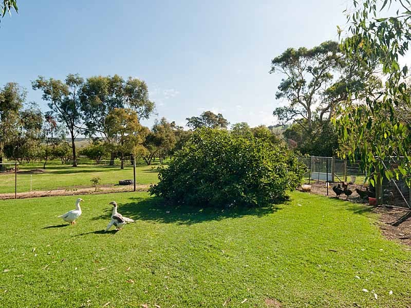 Lot 28&29 Kirkham Road, Ashbourne SA 5157