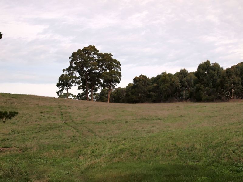 Lot 2 Ravenswood Lane, Balhannah SA 5242