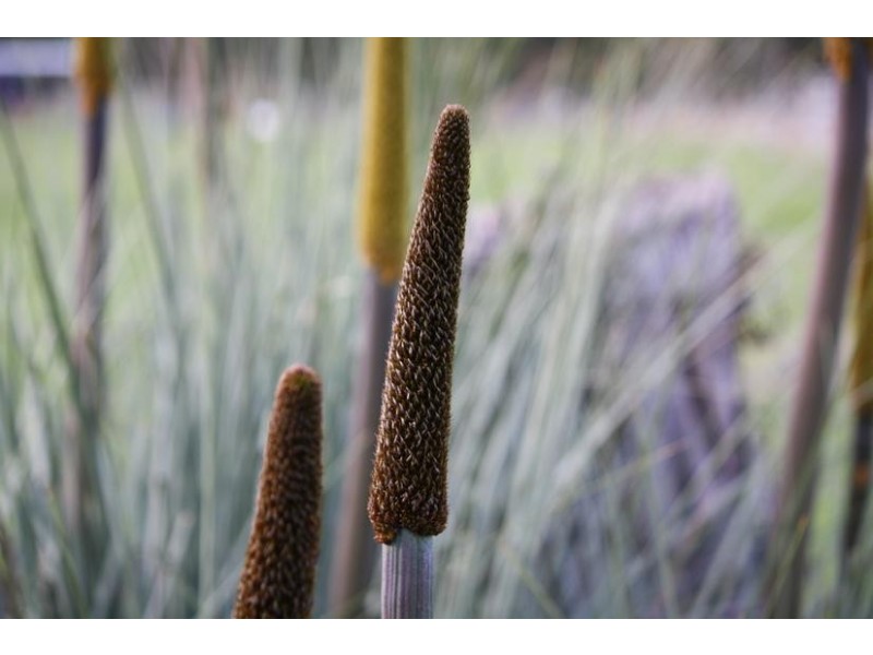 Lot 209 Harper Road, Meadows SA 5201