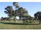 Lot 209 Harper Road, Meadows SA 5201