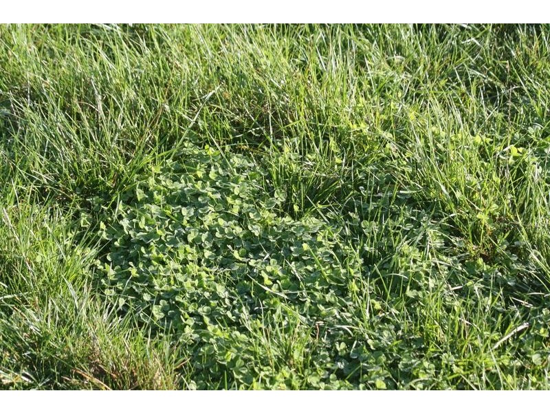 Lot 209 Harper Road, Meadows SA 5201