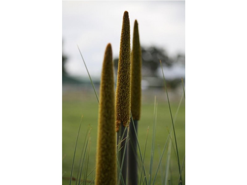 Lot 209 Harper Road, Meadows SA 5201