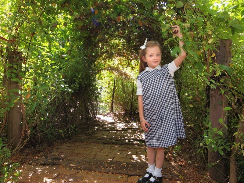 43A Nairne Road, Woodside SA 5244