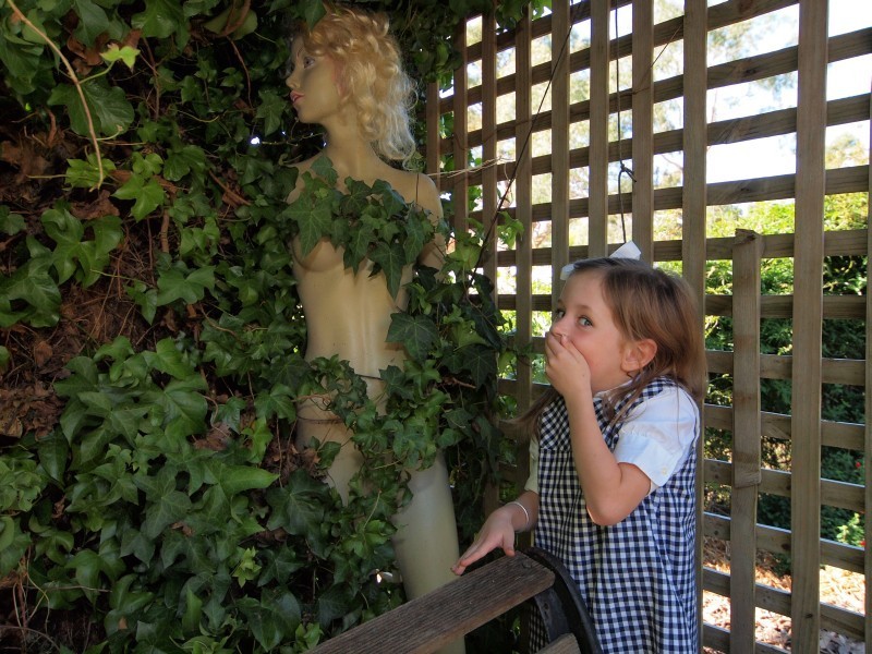 43A Nairne Road, Woodside SA 5244