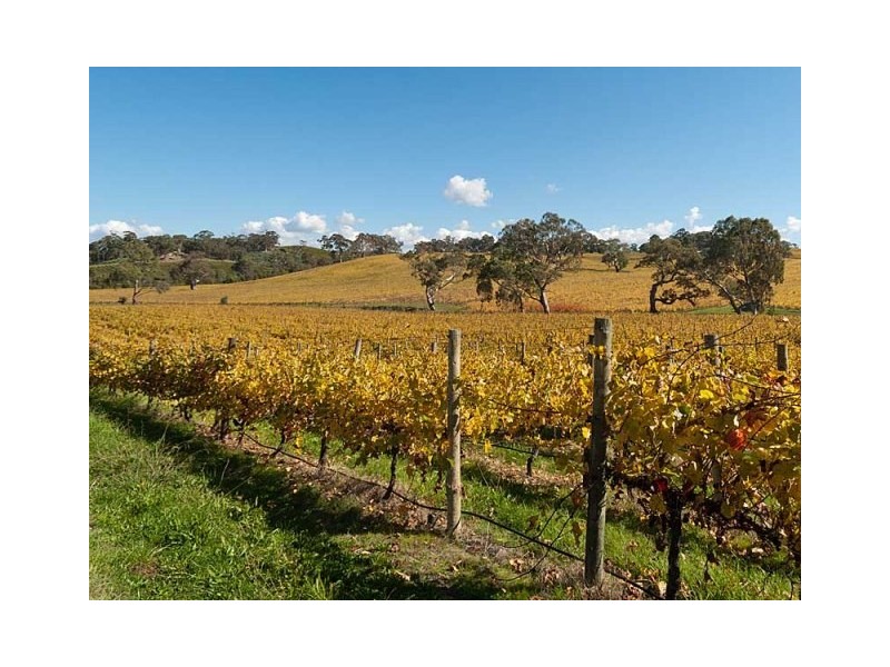 Lot 2 Western Branch Road, Lobethal SA 5241