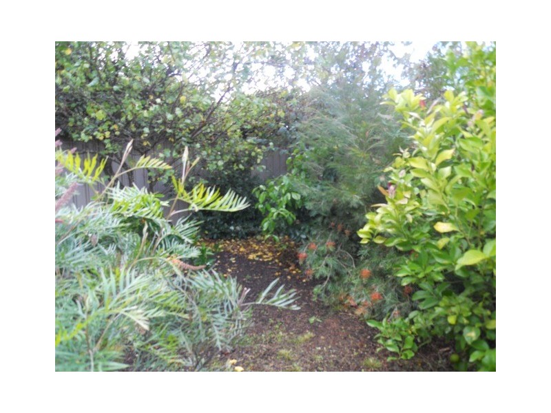 43a Zanker Drive, Mount Barker SA 5251