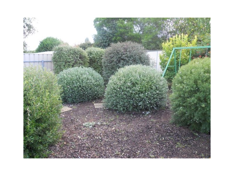 43a Zanker Drive, Mount Barker SA 5251