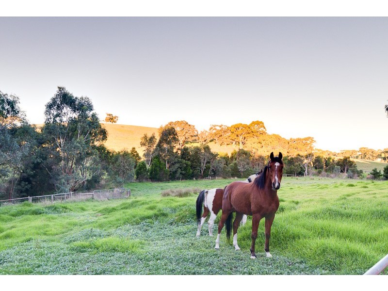 159 Broadbent Road, Macclesfield SA 5153