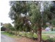 24 Shakes Road, Nairne SA 5252
