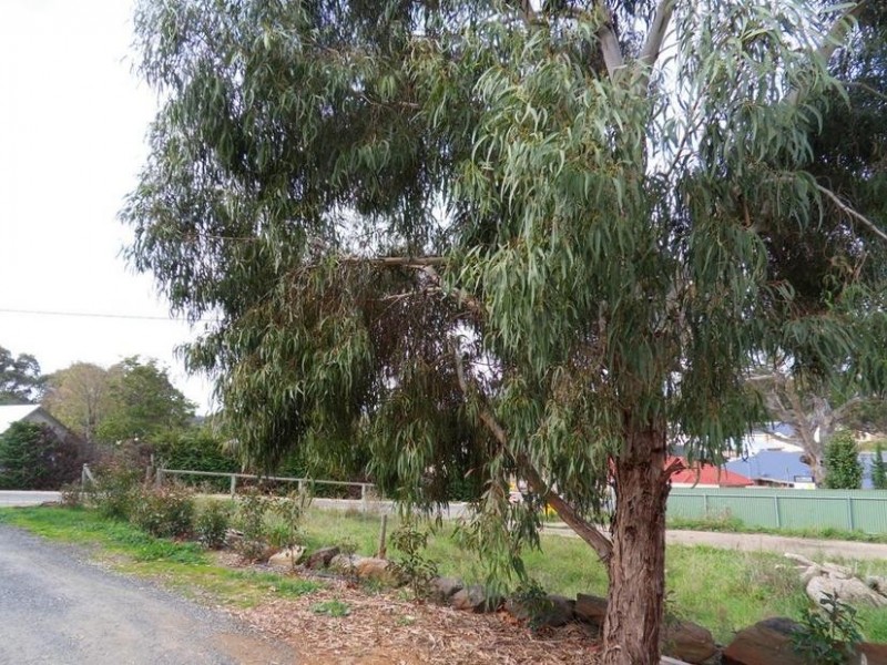 24 Shakes Road, Nairne SA 5252