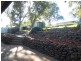 60 Matthew Smillie Drive, Nairne SA 5252