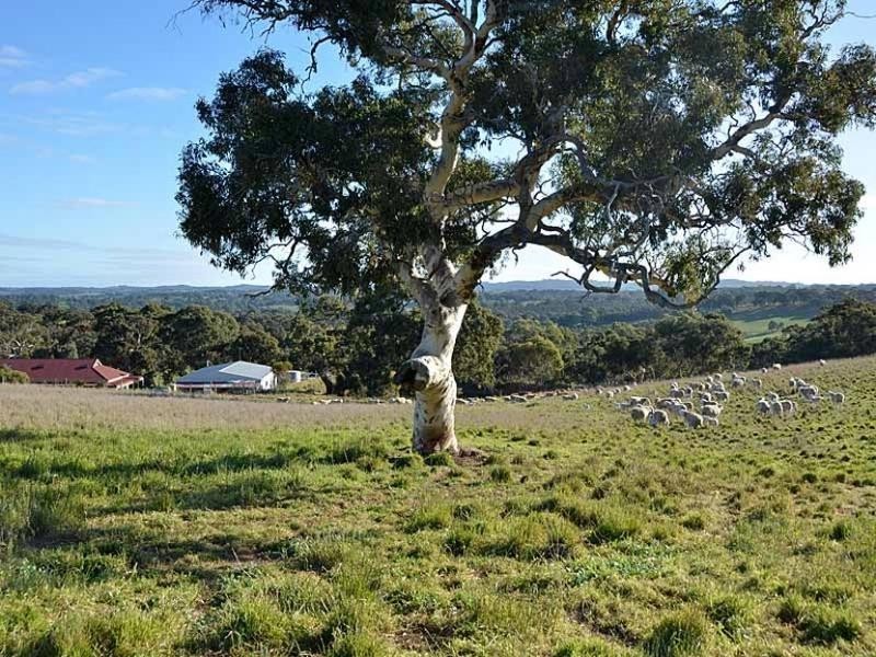 365 Gemmell Road, Macclesfield SA 5153