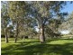 40 Springs Road, Mount Barker SA 5251