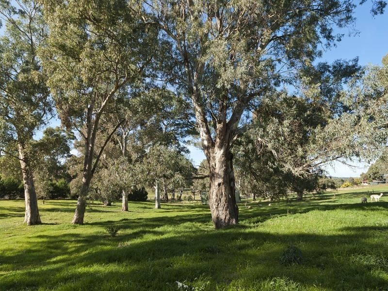 40 Springs Road, Mount Barker SA 5251
