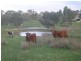 9 Bunnet Road, Bugle Ranges SA 5251