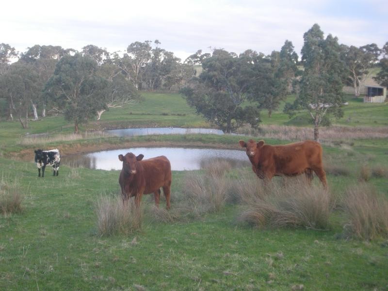 9 Bunnet Road, Bugle Ranges SA 5251