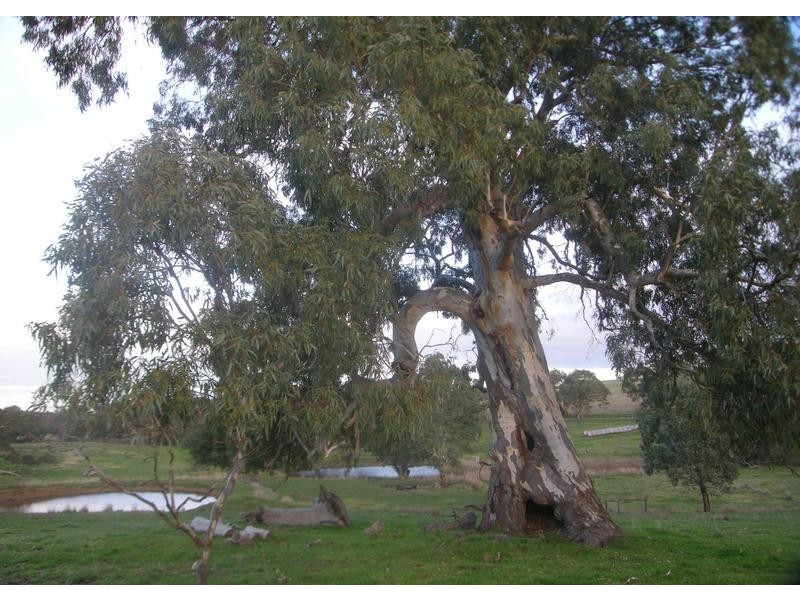 9 Bunnet Road, Bugle Ranges SA 5251