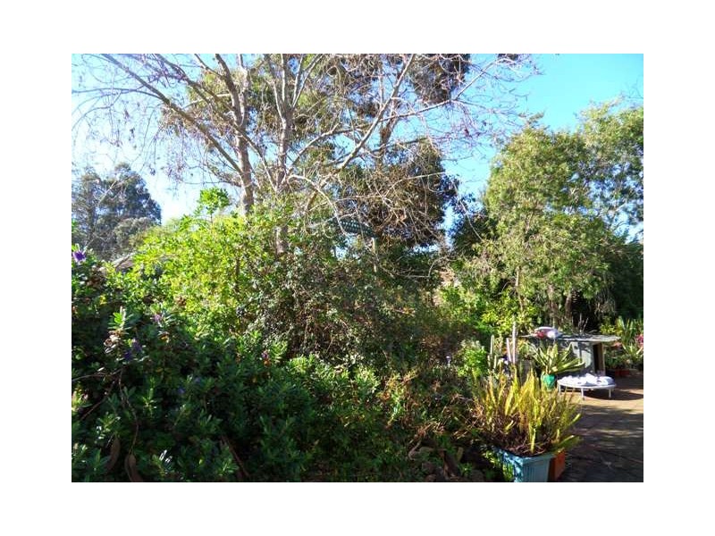 5 Luck Street, Macclesfield SA 5153