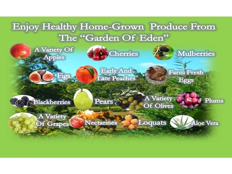 25 Dyer Road, Macclesfield SA 5153