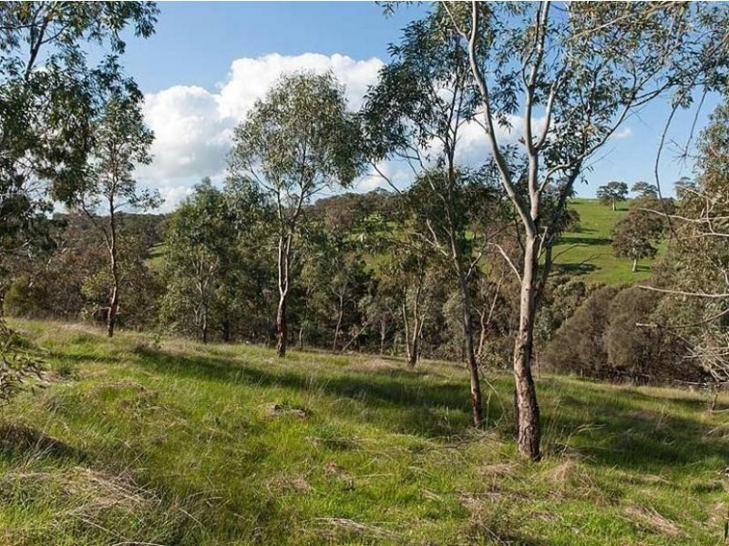 Lot 312 & 314, Lots 311/ Bower Street, Dawesley SA 5252