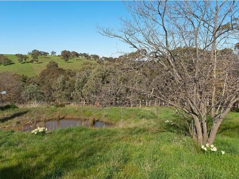 Lot 312 & 314, Lots 311/ Bower Street, Dawesley SA 5252