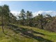Lot 312 & 314, Lots 311/ Bower Street, Dawesley SA 5252