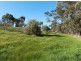 Lot 312 & 314, Lots 311/ Bower Street, Dawesley SA 5252
