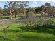 Lot 312 & 314, Lots 311/ Bower Street, Dawesley SA 5252