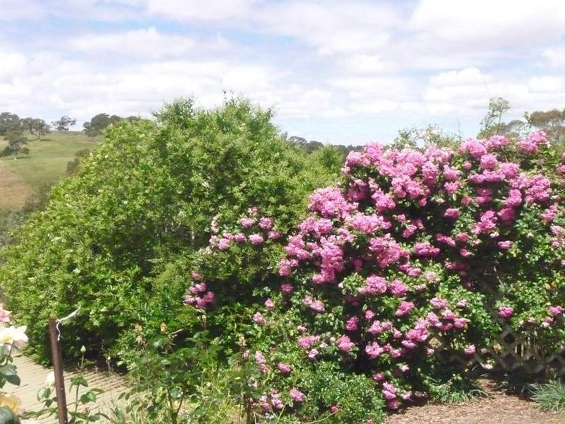 Lot 313, 12 Bower Street, Dawesley SA 5252