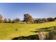 48 Bollen Road, Mount Barker SA 5251
