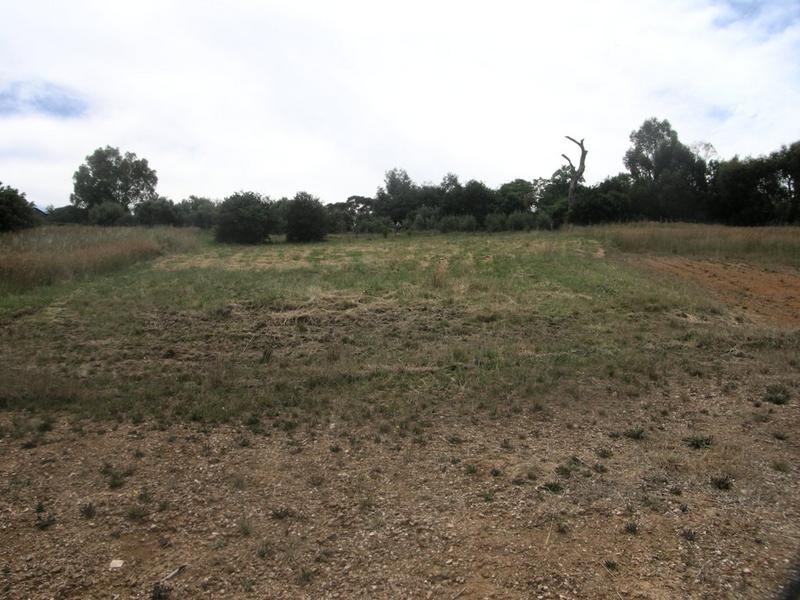 Lot 113,  Reuben Pope Court, Mount Barker SA 5251