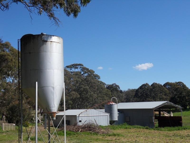 157 Hampton Road, Biggs Flat SA 5153