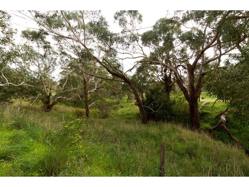 10 Kingrose Street, Macclesfield SA 5153